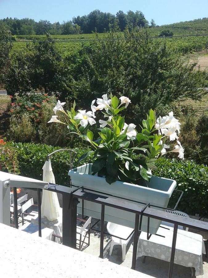 La Terrazza Del Barbaresco Bed & Breakfast Neviglie Dış mekan fotoğraf