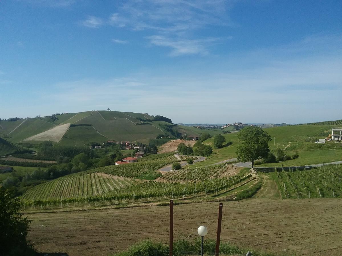 La Terrazza Del Barbaresco Bed & Breakfast Neviglie Dış mekan fotoğraf